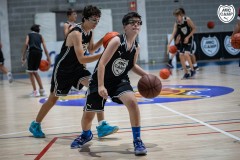 MICCAMP_23_DIMARTS-23