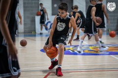 MICCAMP_23_DIMARTS-24