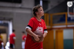 1_MICCAMP_23_DIMECRES-12