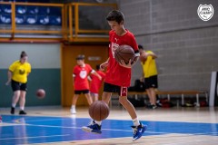 1_MICCAMP_23_DIMECRES-15