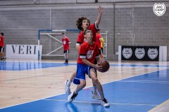 1_MICCAMP_23_DIMECRES-24