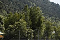 AGSV_260708_MIC_MICCAMP26_34
