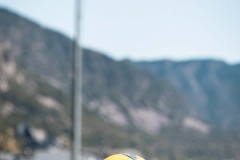 AGSV_260709_MIC_MICCAMP26_85