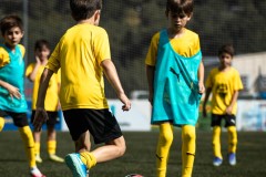 AGSV_260710_MIC_MICCAMP26_4