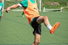 MICCAMP_23_DIMECRES-13