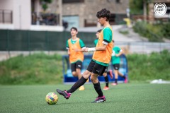 MICCAMP_23_DIMECRES-7