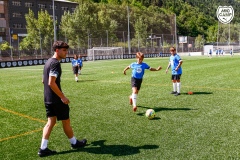 MicCamp23_Dll_13
