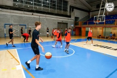 MicCamp23_Dll_80