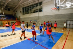 MicCamp23_Dll_83