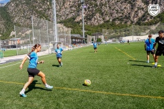 MicCamp23_Dll_9