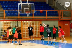 MicCamp23_Dll_90