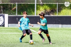 MicCamp23_Dts_23