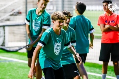 MicCamp_Dv_207
