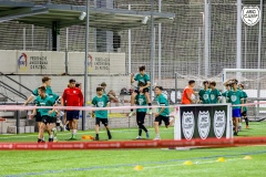 MicCamp_Dv_222