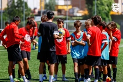 MicCamp23_Dll_072