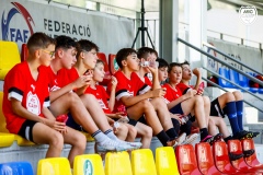 MicCamp23_Dll_075