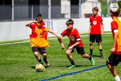 MicCamp23_Dll_080