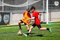 MicCamp23_Dll_081