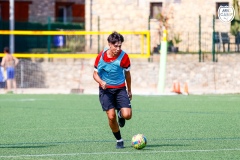 MicCamp23_Dll_092