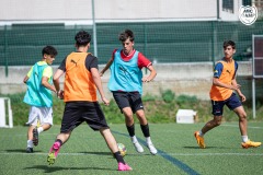 MICCAMP_23_DIMARTS-11
