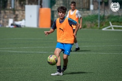 MICCAMP_23_DIMARTS-16
