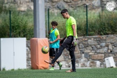 MICCAMP_23_DIMARTS-4