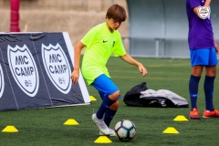 MICCAMP21_2_084