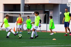 MICCAMP21_3_043