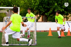 MICCAMP21_3_045