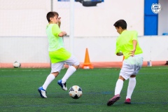 MICCAMP21_3_066