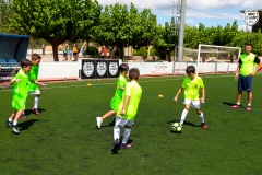 MICCAMP21_3_083