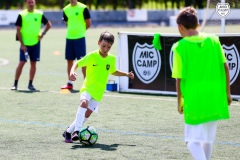 MICCAMP21_3_086