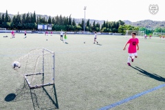 MICCAMP21_4__024